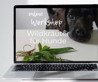 online Workshop Wildkräuter für Hunde
